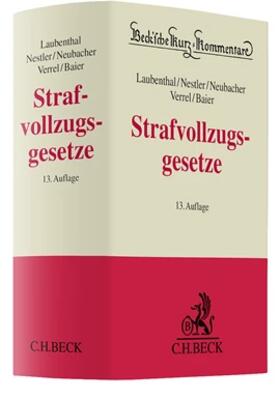 Strafvollzugsgesetze: StVollzG