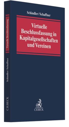 Virtuelle Beschlussfassung in Kapitalgesellschaften und Vereinen