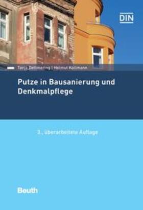 Putze in Bausanierung und Denkmalpflege