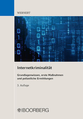 Internetkriminalität