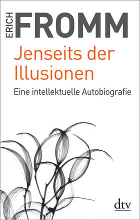 Jenseits der Illusionen