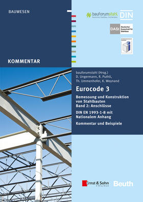 Eurocode 3 Bemessung und Konstruktion von Stahlbauten, Band 2