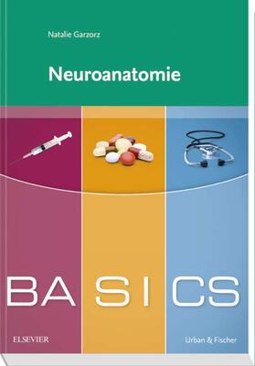 BASICS Neuroanatomie