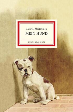 Mein Hund