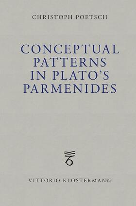 Conceptual Patterns in Plato's Parmenides