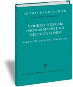 Verirrte Bürger: Thomas Mann und Theodor Storm