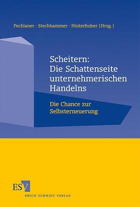 Scheitern: Die Schattenseite unternehmerischen Handelns