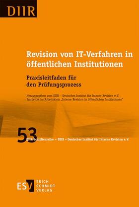 Revision von IT-Verfahren in öffentlichen Institutionen