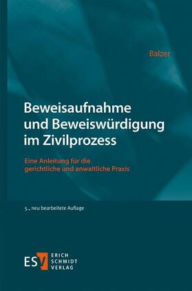 Beweisaufnahme und Beweiswürdigung im Zivilprozess