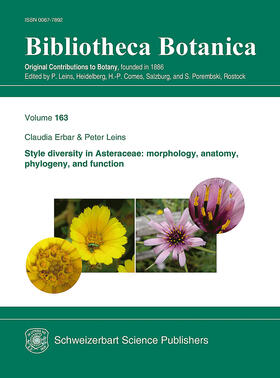 Style diversity in Asteraceae: morphology, anatomy, phylogeny, and function