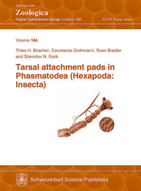 Tarsal attachment pads in Phasmatodea (Hexapoda: Insecta)