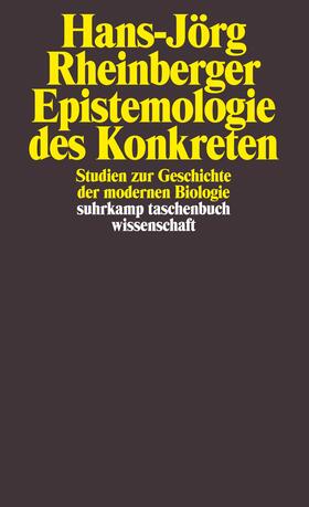 Rheinberger, H: Epistemologie
