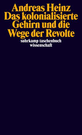 Das kolonialisierte Gehirn und die Wege der Revolte