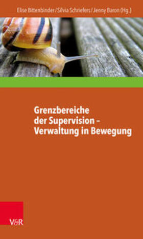 Grenzbereiche der Supervision – Verwaltung in Bewegung