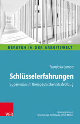 Lamott, F: Schlüsselerfahrungen: Supervision