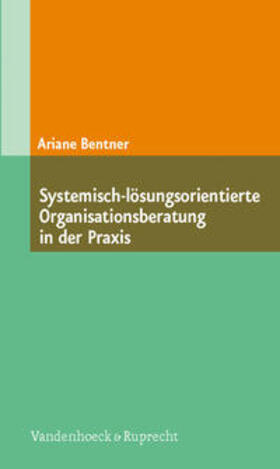 Systemisch-lösungsorientierte Organisationsberatung in der Praxis