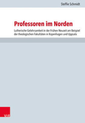 Schmidt, S: Professoren im Norden
