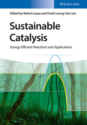 Sustainable Catalysis