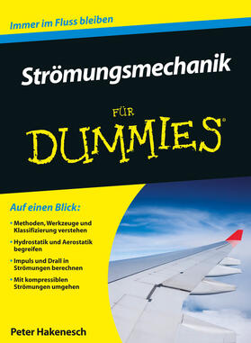 Strömungsmechanik für Dummies