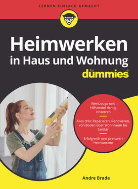 Heimwerken in Haus und Wohnung für Dummies