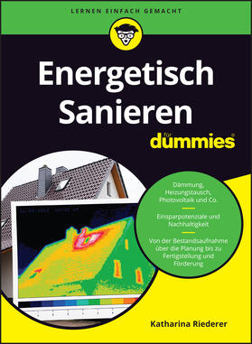 Energetisch Sanieren für Dummies