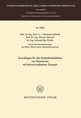 Grundlagen für die Drehofenreduktion von Eisenerzen mit feinverwachsener Gangart