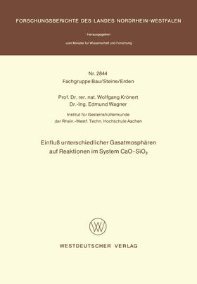 Einfluß unterschiedlicher Gasatmosphären auf Reaktionen im System CaO-SiO2