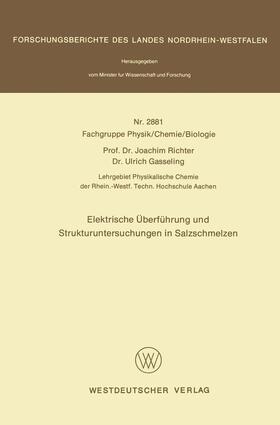 Elektrische Überführung und Strukturuntersuchungen in Salzschmelzen