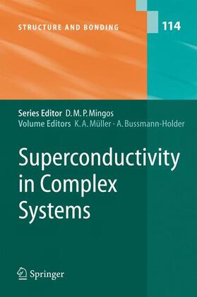 Superconductivity in Complex Systems