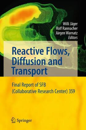 Reactive Flows, Diffusion and Transport