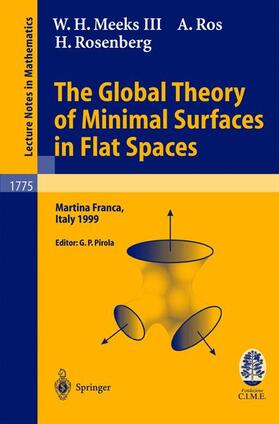 The Global Theory of Minimal Surfaces in Flat Spaces