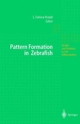 Pattern Formation in Zebrafish