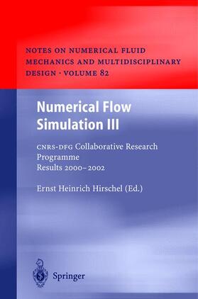 Numerical Flow Simulation III