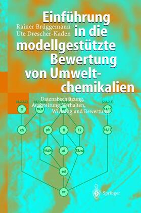 Einführung in die modellgestützte Bewertung von Umweltchemikalien