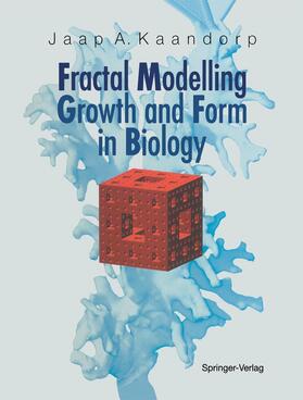 Fractal Modelling