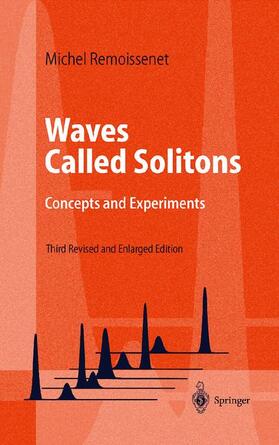 Waves Called Solitons