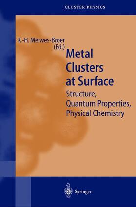 Metal Clusters at Surfaces