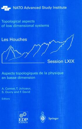 Aspects topologiques de la physique en basse dimension. Topological aspects of low dimensional systems