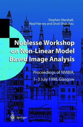 Noblesse Workshop on Non-Linear Model Based Image Analysis