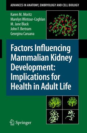 Factors Influencing Mammalian Kidney Development: Implications for Health in Adult Life