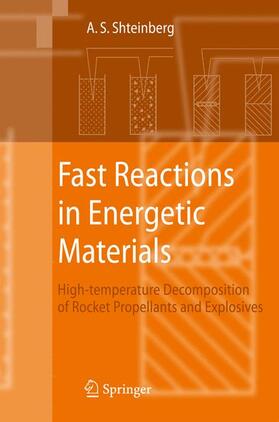 Fast Reactions in Energetic Materials