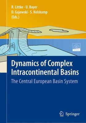 Dynamics of Complex Intracontinental Basins