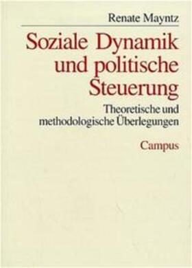 Soziale Dynamik und politische Steuerung