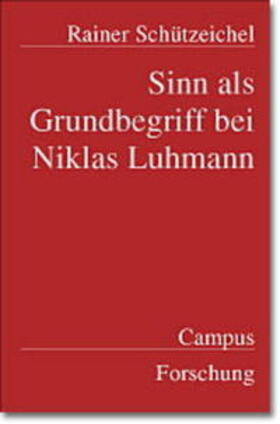 Sinn als Grundbegriff bei Niklas Luhmann