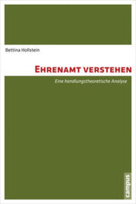 Hollstein, B: Ehrenamt verstehen