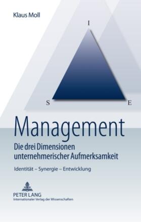 Management ¿ Die drei Dimensionen unternehmerischer Aufmerksamkeit