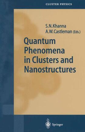 Quantum Phenomena in Clusters and Nanostructures