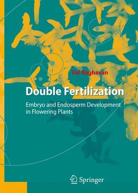 Double Fertilization