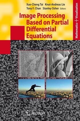 Image Processing Based on Partial Differential Equations