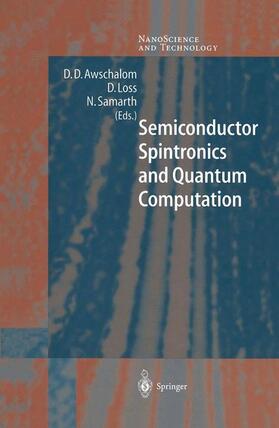 Semiconductor Spintronics and Quantum Computation